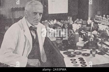 Sir Alexander Fleming, lo scopritore della penicillina, al lavoro nel suo laboratorio in St. Mary's Hospital, Paddington, Londra 1930s. Foto Stock