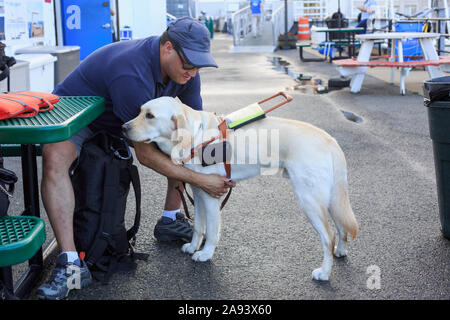 Uomo cieco seduto con il suo cane di servizio Foto Stock