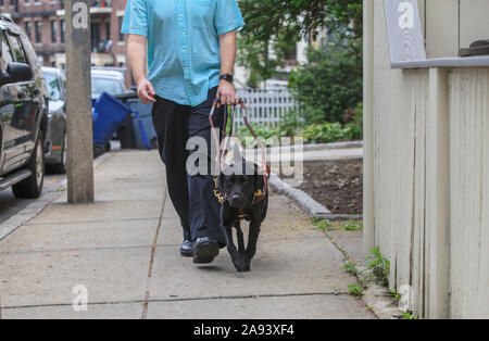 Uomo con disabilità visiva che cammina con il suo cane di servizio Foto Stock