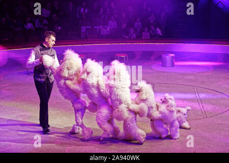 Parigi, Francia. 9 Nov, 2019. Evgeny Komisarenko e i suoi cani eseguire durante lo spettacolo "éfi' del Cirque Bouglione al Cirque d'Hiver a Parigi. Foto Stock