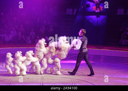 Parigi, Francia. 9 Nov, 2019. Evgeny Komisarenko e i suoi cani eseguire durante lo spettacolo "éfi' del Cirque Bouglione al Cirque d'Hiver a Parigi. Foto Stock