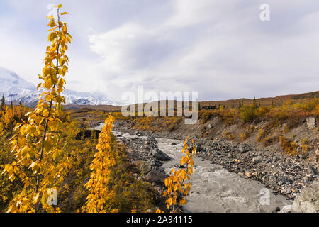 Il fiume Muddy scorre attraverso una remota area del Denali National Park e conserva in autunno; Alaska, Stati Uniti d'America Foto Stock