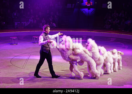 Parigi, Francia. 9 Nov, 2019. Evgeny Komisarenko e i suoi cani eseguire durante lo spettacolo "éfi' del Cirque Bouglione al Cirque d'Hiver a Parigi. Foto Stock