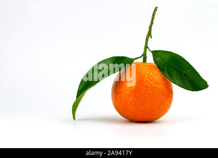 Extra dolce e succosa e clementine spagnole con foglie. Isolato su bianco. Foto Stock