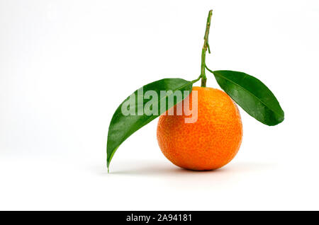 Extra dolce e succosa e clementine spagnole con foglie. Isolato su bianco. Foto Stock