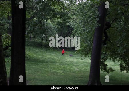 Donna che indossa giacca rossa passeggiate il suo cane nel verde di Central Park Foto Stock