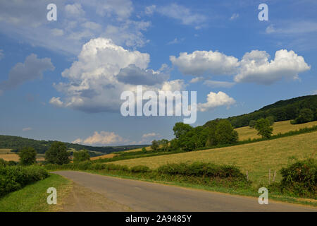 La strada di campagna che porta da Sainte Sabine a Chateauneuf, Cote d'Or FR Foto Stock