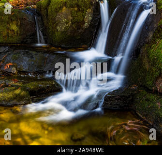 Cascate con foglie autunnali colorate sul torrente Anderson; Maple Ridge, British Columbia, Canada Foto Stock