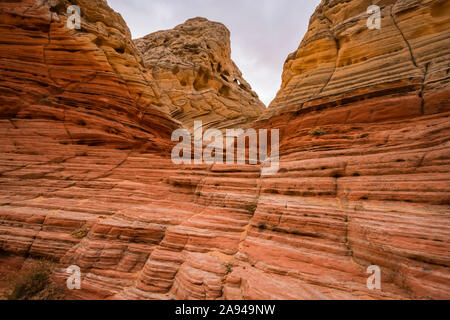 Le incredibili formazioni rocciose e arenaria di White Pocket; Arizona, Stati Uniti d'America Foto Stock