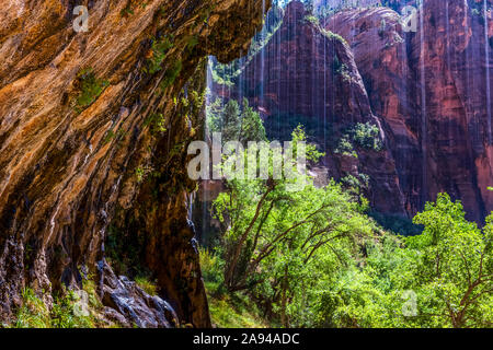 Weeping Wall, Zion National Park; Utah, Stati Uniti d'America Foto Stock