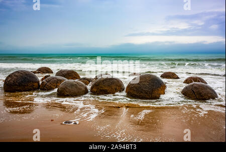 Moeraki Boulders sulla spiaggia di Koekohe, Costa di Otago; Isola del Sud, Nuova Zelanda Foto Stock