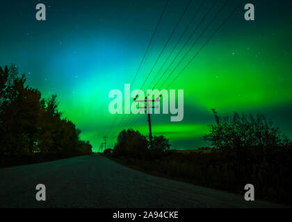 L'aurora boreale si illumina di verde nel cielo stellato sopra una strada rurale e linee di trasmissione, Sturgeon County; Alberta, Canada Foto Stock