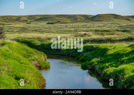 Lussureggiante erba verde sulle colline ondulate e un tranquillo torrente nel parco nazionale delle praterie; Val Marie, Saskatchewan, Canada Foto Stock