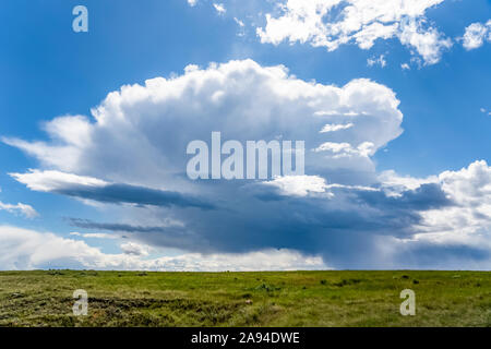 Vasti campi di terreni agricoli sulle praterie sotto un grande cielo con formazioni nuvolose e una tempesta in lontananza; Val Marie, Saskatchewan, Canada Foto Stock