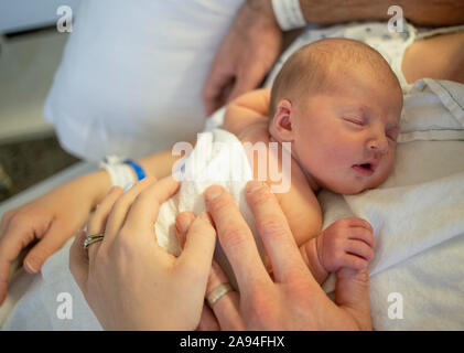 Neonato che dorme sul petto della madre in un letto d'ospedale con le mani di madre e padre visibili; Vancouver, British Columbia, Canada Foto Stock