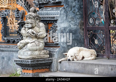 Cane che dorme da un tempio; Kamasan, Bali, Indonesia Foto Stock