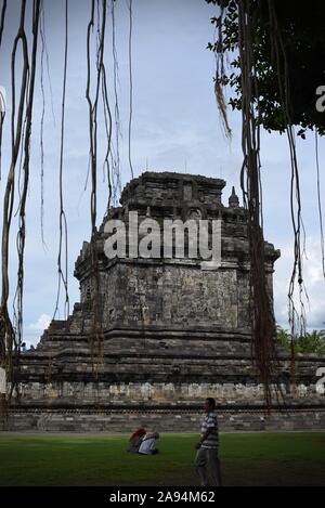 Tempio di Mendut con radici aeree di un alto ficus in primo piano. Foto Stock