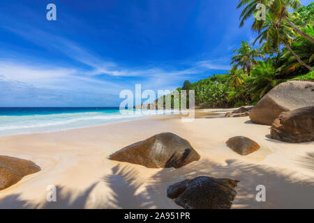 Palme di cocco su esotica spiaggia tropicale in Paradise Island in blu oceano Foto Stock