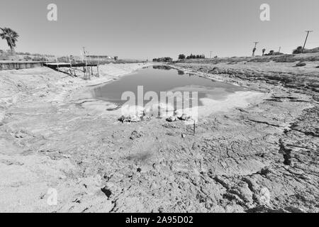 Calette a Salton Sea in California Foto Stock