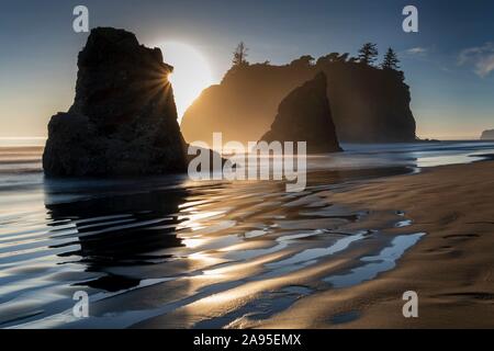 Ruby Beach, Parco Nazionale di Olympic, Washington, Stati Uniti d'America Foto Stock