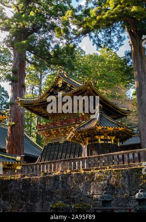 Magnifica Tosho-gu il Sacrario del XVII secolo, sacrario scintoista, santuari e templi di Nikko, Sito Patrimonio Mondiale dell'UNESCO, Nikko, Giappone Foto Stock