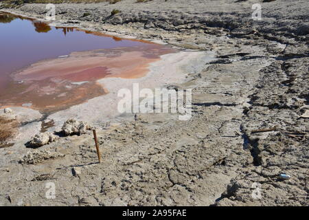 Calette a Salton Sea in California Foto Stock