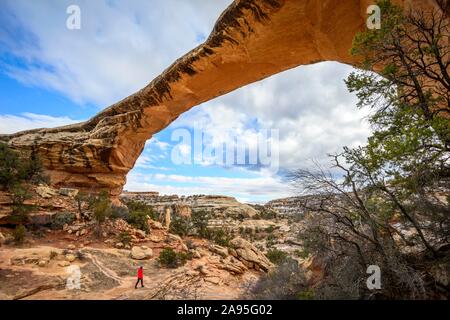 Tourist sotto roccia arch, Owachomo Bridge, ponti naturali monumento nazionale, Utah, Stati Uniti d'America Foto Stock