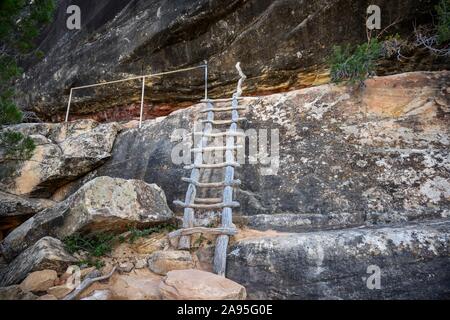 Leader in discesa nel canyon per Sipapu Bridge, ponti naturali monumento nazionale, Utah, Stati Uniti d'America Foto Stock