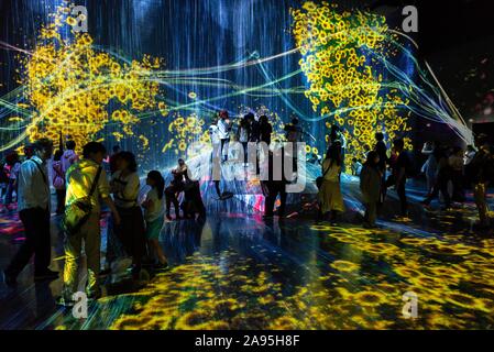 Visitatore, luce installazione con fiori, mostra al Digital Art Museum, Epson TeamLab Borderless, Odaiba, presso Tokyo, Giappone Foto Stock