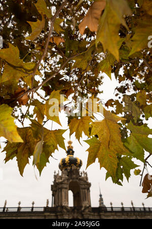 Dresden, Germania. Xiii Nov, 2019. Autumnally scolorito foglie appendere da un albero piano nella parte anteriore della corona porta dell'Zwinger. Credito: Robert Michael/dpa-Zentralbild/ZB/dpa/Alamy Live News Foto Stock