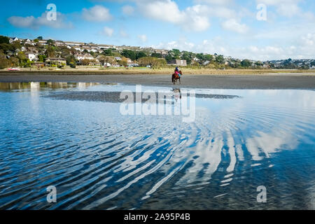 Percorsi per Pony a bassa marea sul Gannel Estuary in Newquay in Cornovaglia. Foto Stock