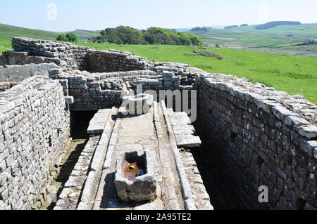 Il Vallo di Adriano, Housesteads, le latrine Foto Stock