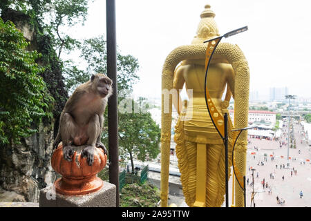 KUALA LUMPUR, Malesia - 06 Febbraio 2018: Grotte Batu, il più grande tempio indù fuori dall'India. Monkey seduto vicino a passi. Foto Stock