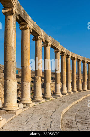 Colonne ioniche a forma ovale Plaza (Forum), Jerash, Giordania Foto Stock