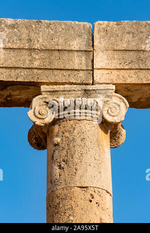 Close-up di colonna ionica di capitale a forma ovale Plaza (Forum), Jerash, Giordania Foto Stock