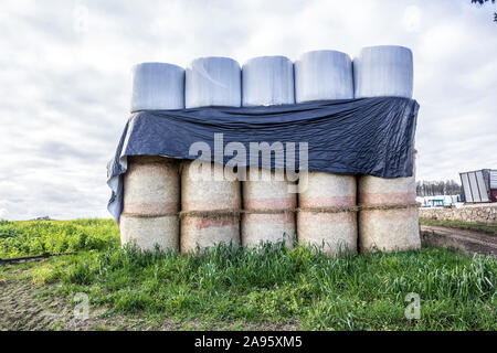 Balle cilindriche di silo di giacere al di sopra di balle di paglia, che sono coperte dalla pioggia con un nero membrana plastica.Industrial dairy farm.Podlasie, Polonia. Foto Stock