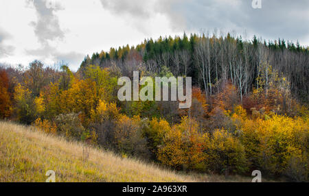 Bellissimo Cielo e nubi su una foresta sulla sommità di una collina nei pressi di un piccolo villaggio, con autunno alberi colorati e i colori autunnali Foto Stock
