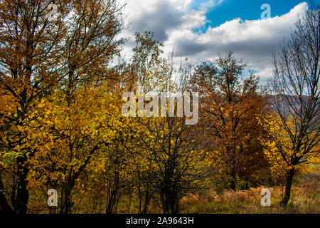 Bellissimo Cielo e nubi su una foresta sulla sommità di una collina nei pressi di un piccolo villaggio, con autunno alberi colorati e i colori autunnali Foto Stock