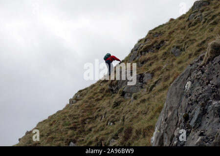 Lone uomo salire erba sul Monte scozzese Corbett Stob Dubh (Beinn Ceitein) in Glen Etive, Highlands scozzesi, Scotland, Regno Unito. Foto Stock