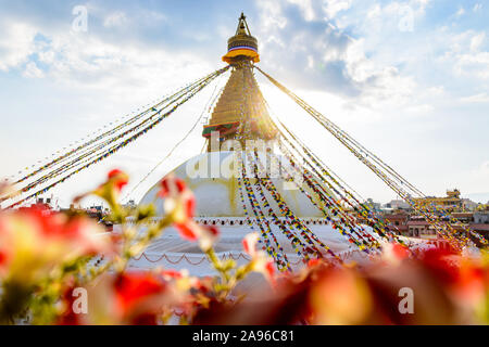 Stupa Boudhanath a Kathmandu Foto Stock