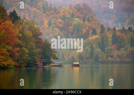 Bella autunno al lago di Bled, in Slovenia. Europa Foto Stock