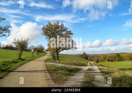 Paesaggio autunnale con una forcella nelle strade di campo Foto Stock