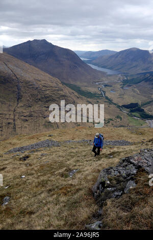 Lone uomo salire erba sul Monte scozzese Corbett Stob Dubh (Beinn Ceitein) in Glen Etive, Highlands scozzesi, Scotland, Regno Unito. Foto Stock