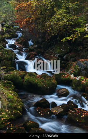 Soft flusso che scorre su rocce di muschio nei colori dell'autunno Foto Stock