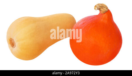 Butternut e Hokkaido zucche isolati su sfondo bianco Foto Stock