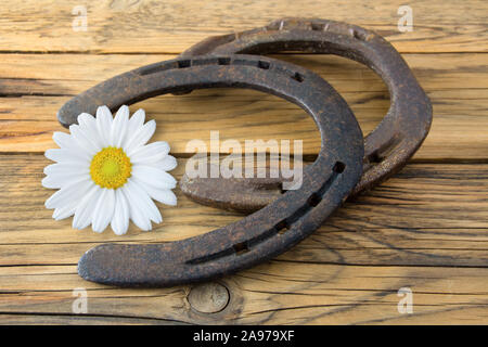 Il ferro di cavallo contro lo sfondo di legno Foto Stock