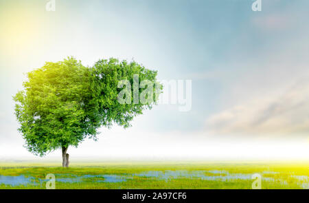 Realistiche le immagini di fegato umano sono albero verde forme circa le malattie e la cirrosi (ambiente). Foto Stock