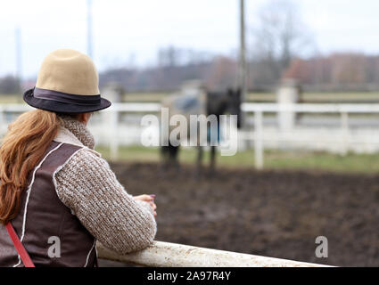 Cavallo, bella cavallo polacco, donna in un cappello Foto Stock