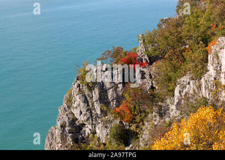 I colori autunnali su una scogliera sul sentiero Rilke sulla costa adriatica vicino a Trieste, Italia Foto Stock