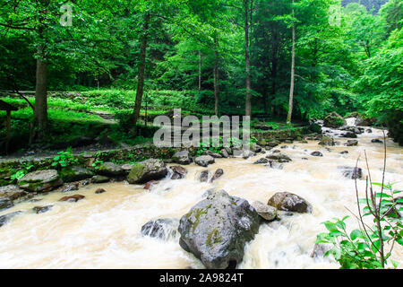 Torrente d'acqua fangoso che scorre attraverso il letto del fiume dopo la pioggia. Alberi, grandi rocce e ambiente umido tipico della regione del Mar Nero. Sumela, Trabzon Foto Stock